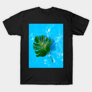 Monstera deliciosa plant floating on blue water T-Shirt